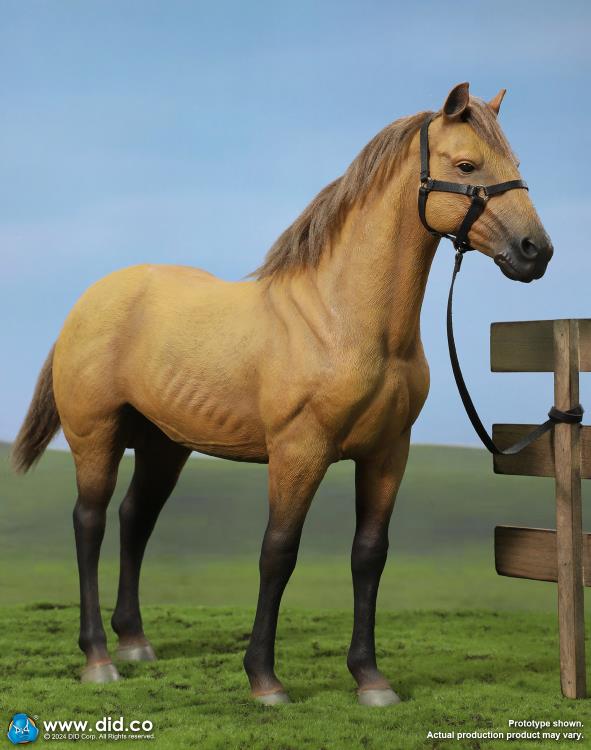 Civil War Brown War Horse (Standing) 1/6 Scale Figure Gallery Image 13
