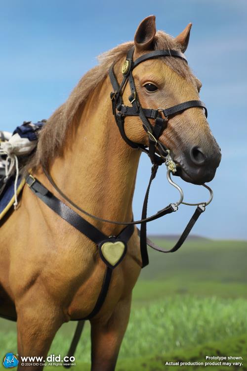 Civil War Brown War Horse (Standing) 1/6 Scale Figure Gallery Image 10