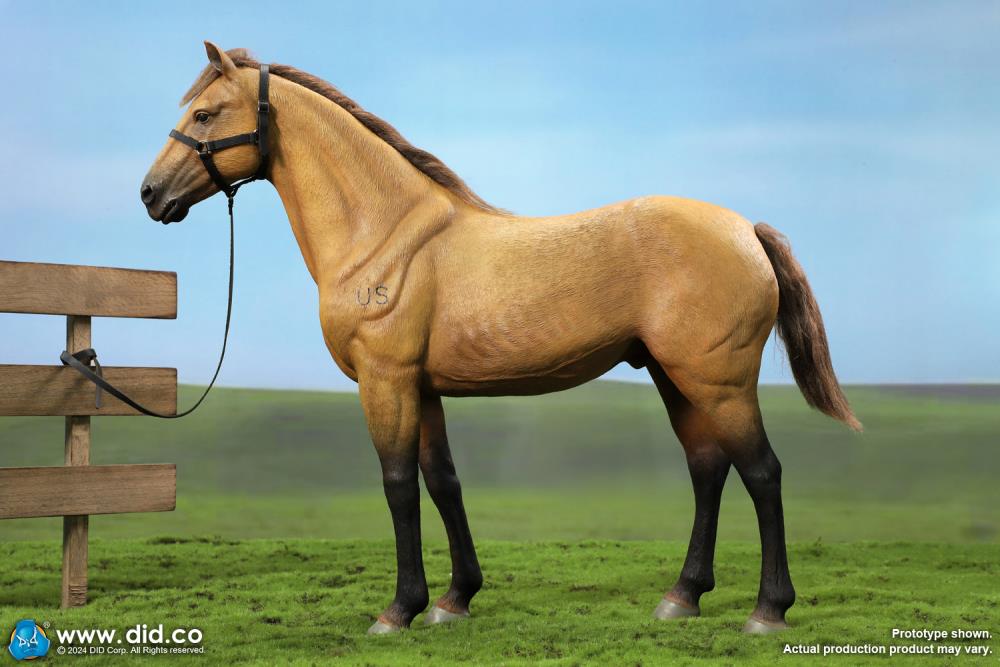 Civil War Brown War Horse (Standing) 1/6 Scale Figure Gallery Image 12