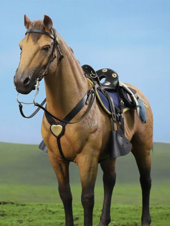 Civil War Brown War Horse (Standing) 1/6 Scale Figure Gallery Image 2