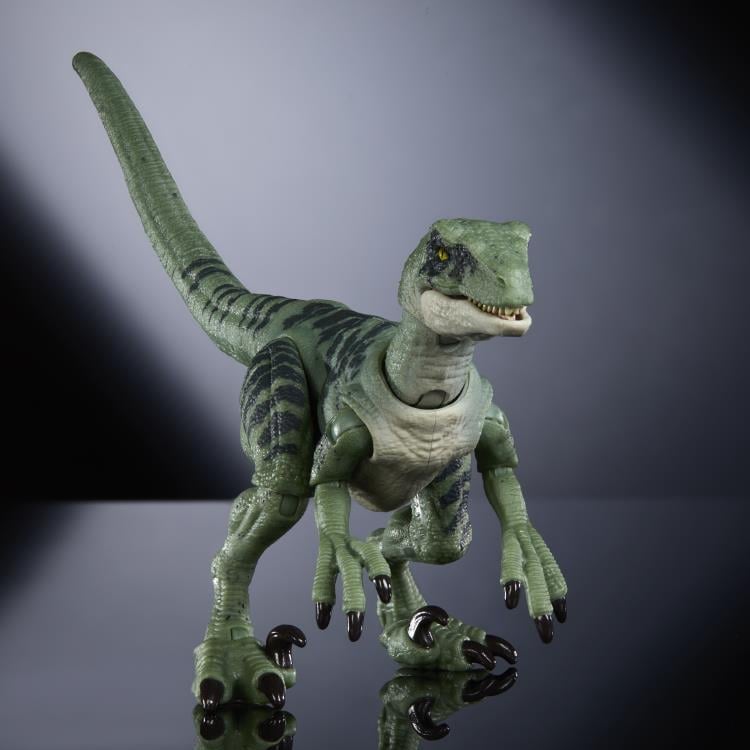 Jurassic World Hammond Collection Velociraptor "Delta" Gallery Image 3