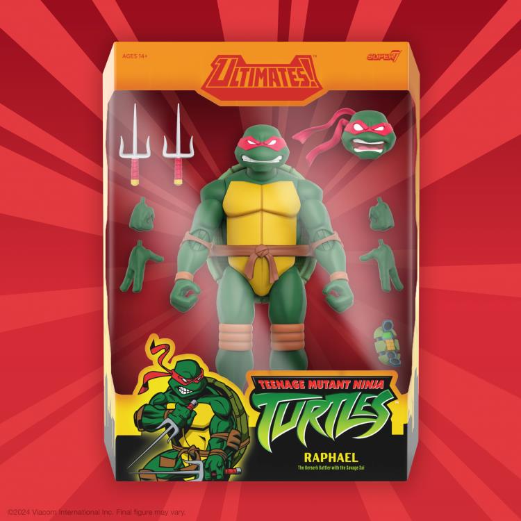 Teenage Mutant Ninja Turtles ULTIMATES! Raphael (2003 Animated Series) Action Figure Gallery Image 5