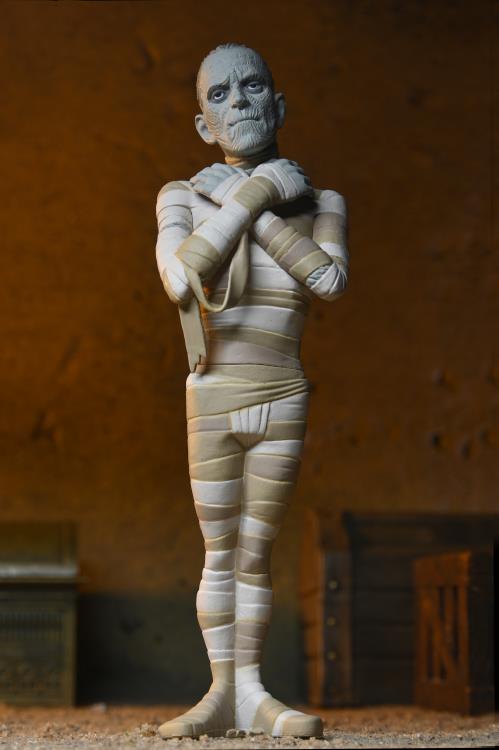 Universal Monsters Toony Terrors The Mummy Gallery Image 4
