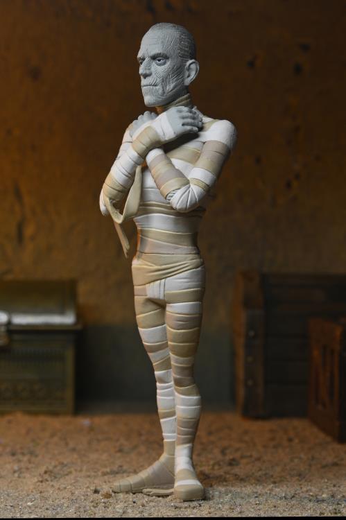 Universal Monsters Toony Terrors The Mummy Gallery Image 6