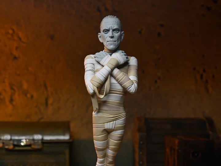 Universal Monsters Toony Terrors The Mummy