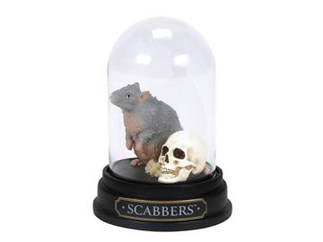 置物 Harry Wizarding World of Harry Potter Scabbers Curiosity Cloche