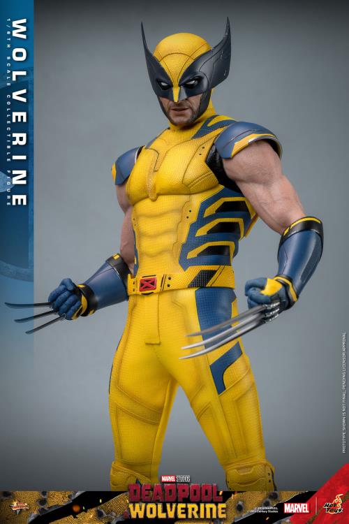 Deadpool & Wolverine MMS753 Wolverine 1/6th Scale Collectible Figure Gallery Image 6