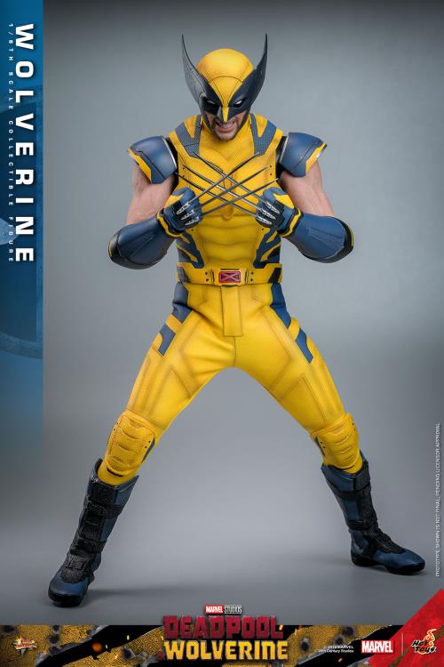 Deadpool & Wolverine MMS753 Wolverine 1/6th Scale Collectible Figure Gallery Image 9