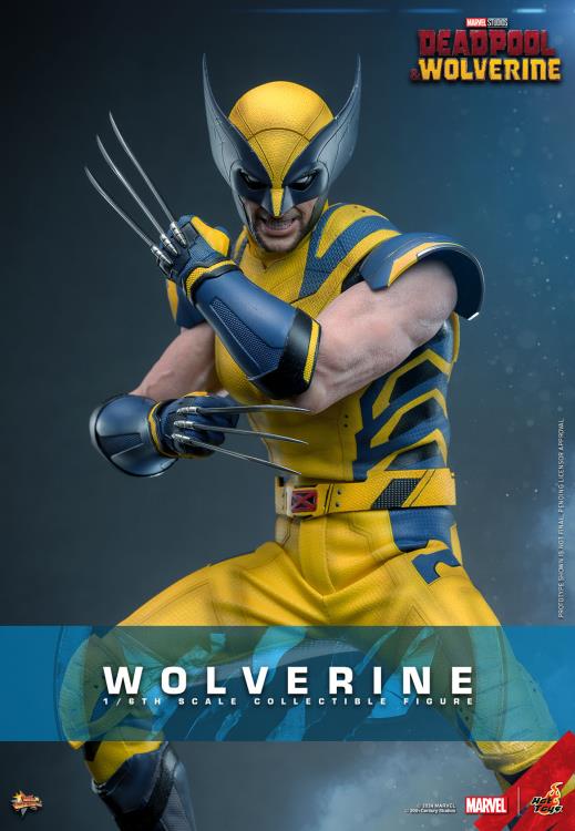 Deadpool & Wolverine MMS753 Wolverine 1/6th Scale Collectible Figure Gallery Image 3