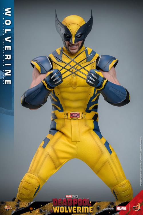 Deadpool & Wolverine MMS753 Wolverine 1/6th Scale Collectible Figure Gallery Image 4