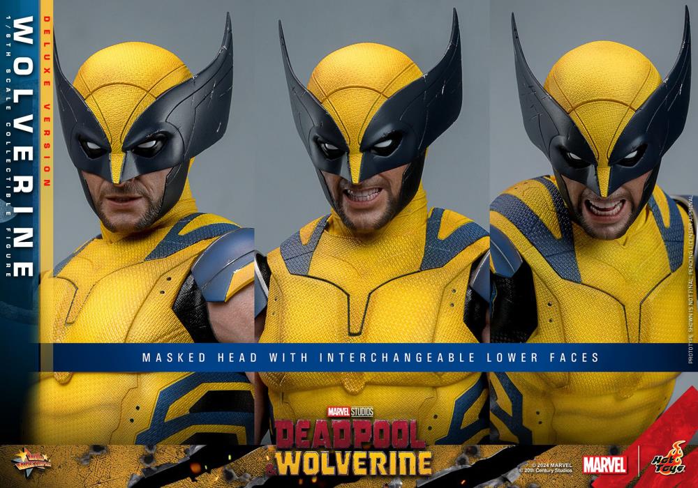 ホットトイズ ウルヴァリン デラックスバージョン Wolverine (Deluxe Version) Sixth scale Figure by Hot Toys