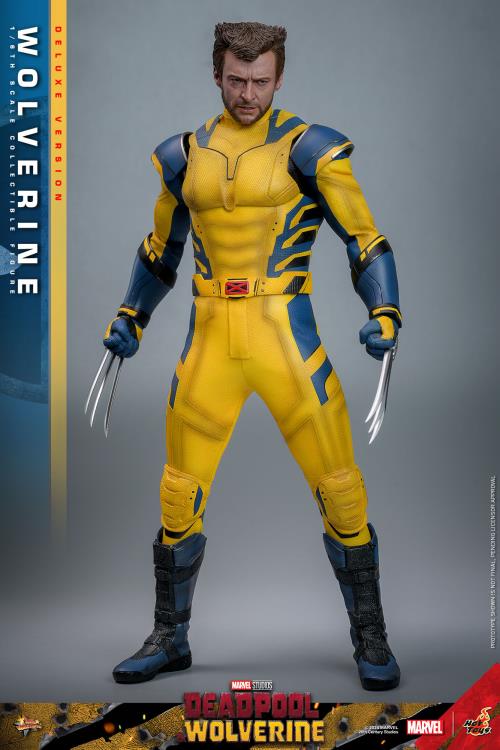 Deadpool & Wolverine MMS754 Wolverine (Deluxe Ver.) 1/6th Scale Collectible Figure Gallery Image 4