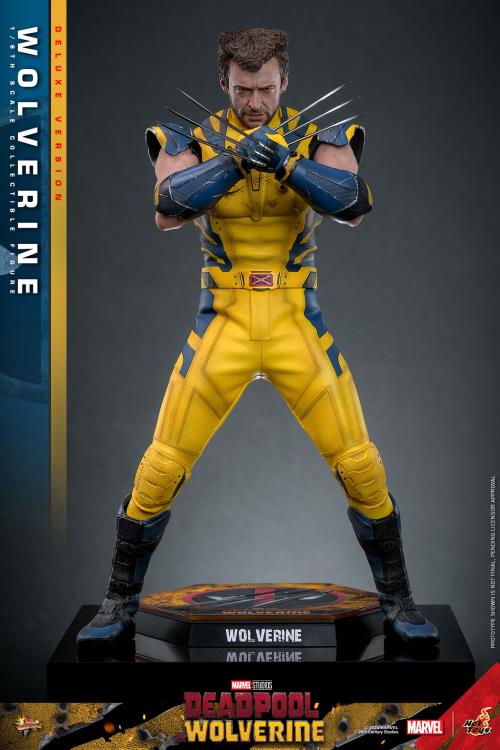 Deadpool & Wolverine MMS754 Wolverine (Deluxe Ver.) 1/6th Scale Collectible Figure Gallery Image 16