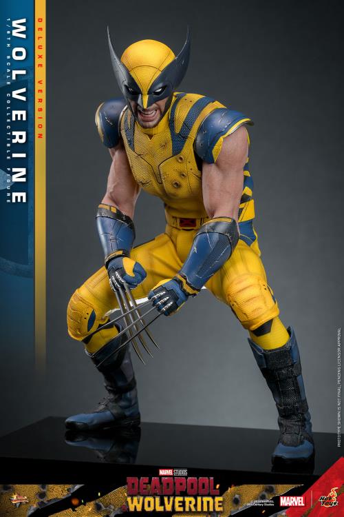 Deadpool & Wolverine MMS754 Wolverine (Deluxe Ver.) 1/6th Scale Collectible Figure Gallery Image 20