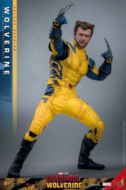 Deadpool & Wolverine MMS754 Wolverine (Deluxe Ver.) 1/6th Scale Collectible Figure Gallery Image 5