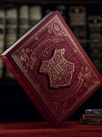 Harry Potter Playing Cards Collectors Edition Box Set Gallery Image 2