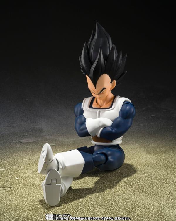 Dragon Ball Z S.H.Figuarts Vegeta (Older Style Battle Clothes) Exclusive Action Figure Gallery Image 5