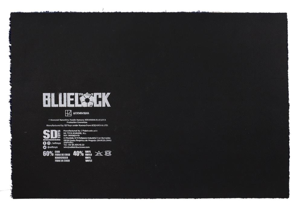 Blue Lock Logo 2 Door Mat Gallery Image 3