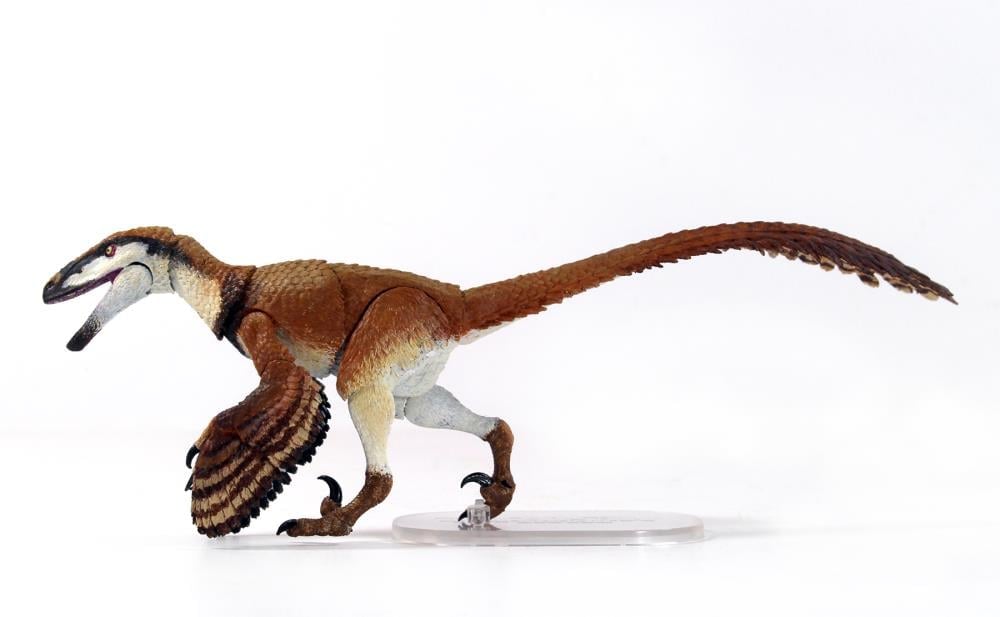 Beasts of the Mesozoic Raptor Series Deinonychus Antirrhopus 1/18 Scale Figure Gallery Image 4