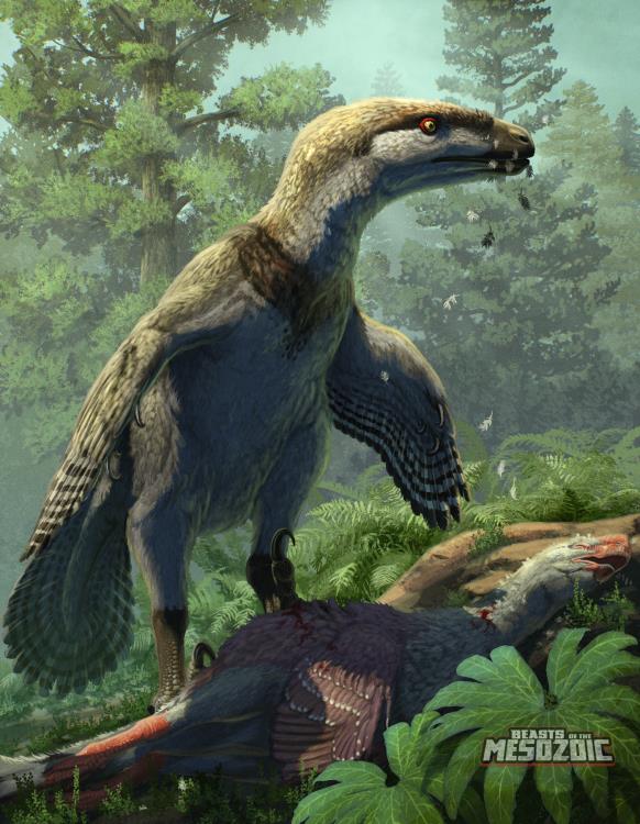 Beasts of the Mesozoic Raptor Series Deinonychus Antirrhopus 1/18 Scale Figure Gallery Image 8