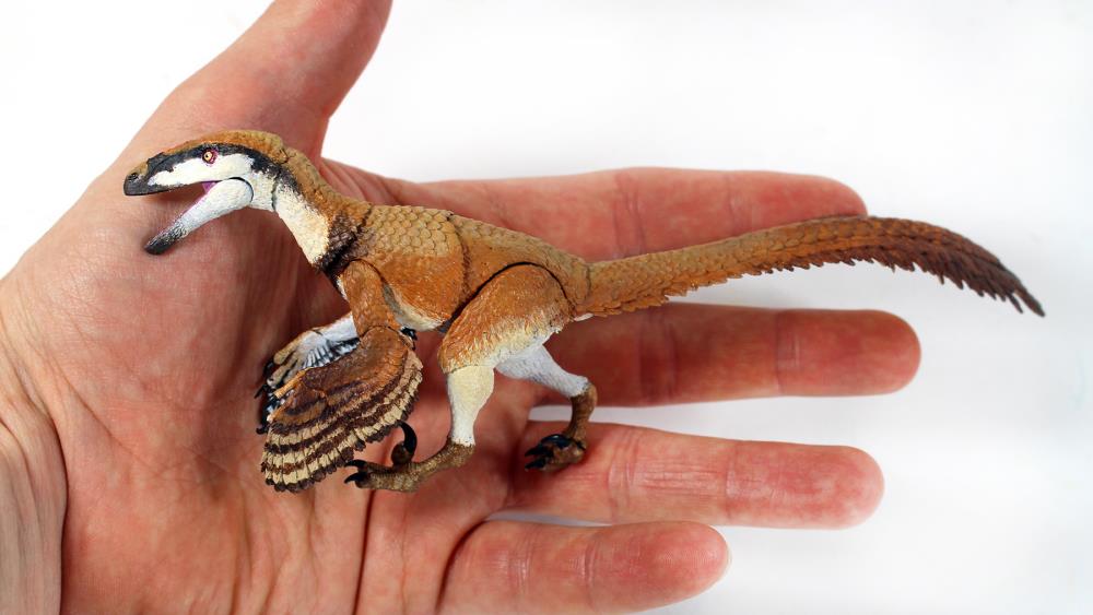 Safari Ltd Deinonychus Dinosaur Figure 100354 NEW IN STOCK