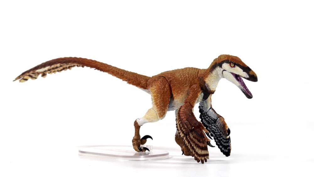 Beasts of the Mesozoic Raptor Series Deinonychus Antirrhopus 1/18 Scale Figure Gallery Image 6
