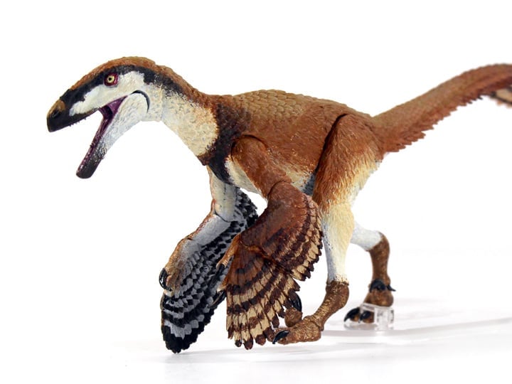 Beasts of the Mesozoic Raptor Series Deinonychus Antirrhopus 1/18