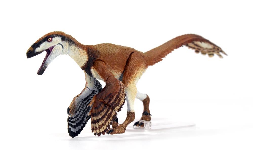 Beasts of the Mesozoic Raptor Series Deinonychus Antirrhopus 1/18 Scale Figure Gallery Image 3