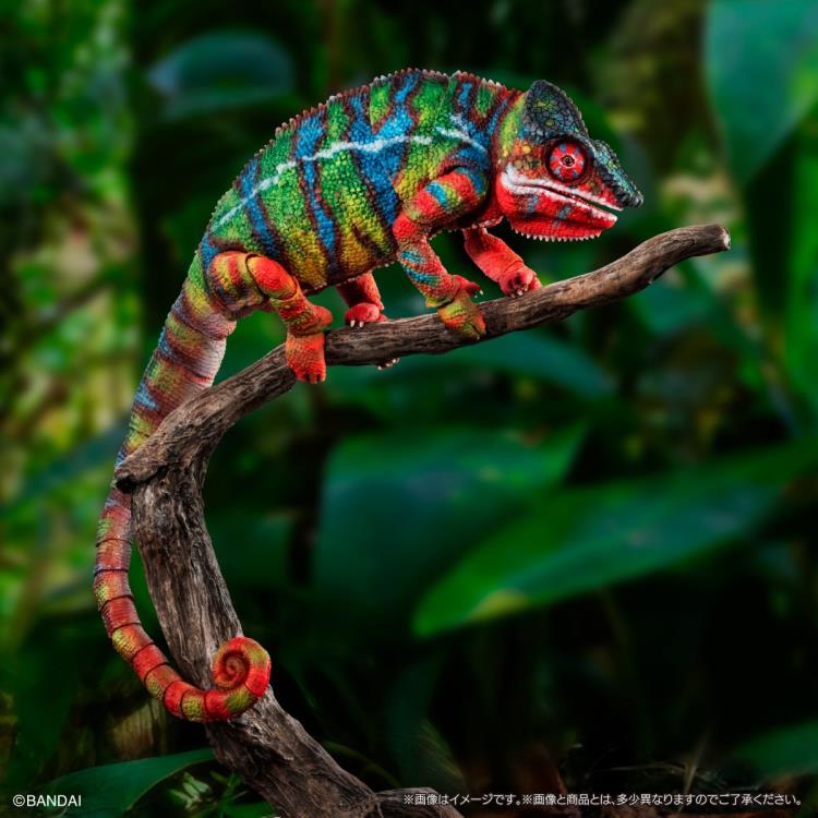 トップス ARCHIVE LIFE WORLD WIDE xameleon The Diversity of Life on Earth Panther Chameleon (Ambilobe Green