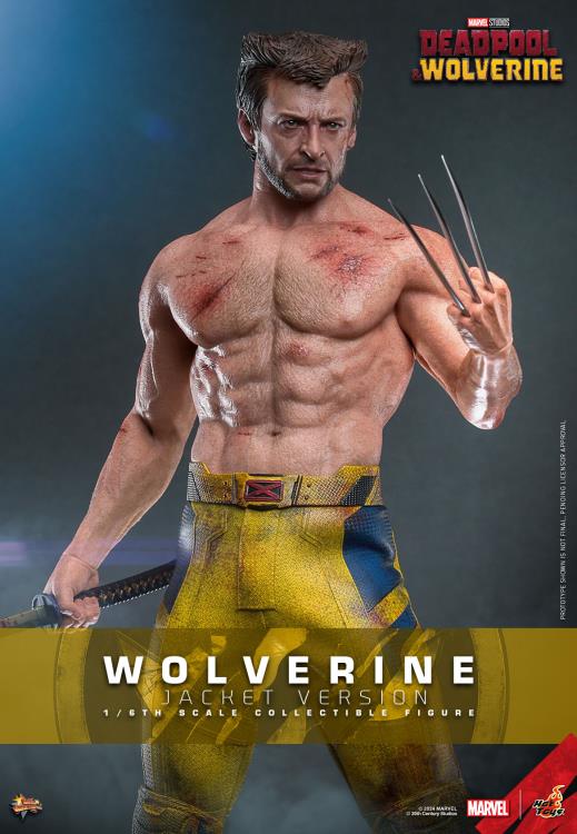 Deadpool & Wolverine MMS756 Wolverine (Jacket Ver.) 1/6th Scale Collectible Figure Gallery Image 3