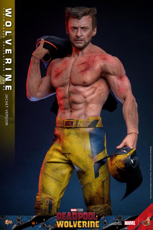 Deadpool & Wolverine MMS756 Wolverine (Jacket Ver.) 1/6th Scale Collectible Figure Gallery Image 6