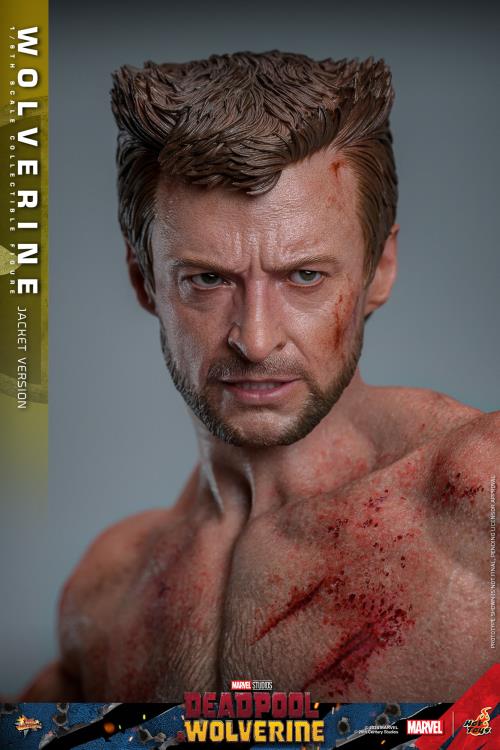Deadpool & Wolverine MMS756 Wolverine (Jacket Ver.) 1/6th Scale Collectible Figure Gallery Image 7