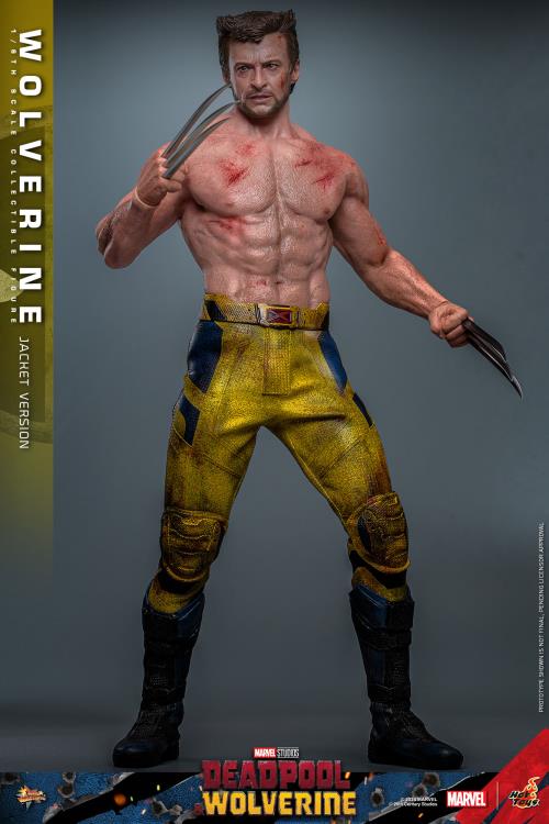 Deadpool & Wolverine MMS756 Wolverine (Jacket Ver.) 1/6th Scale Collectible Figure Gallery Image 4