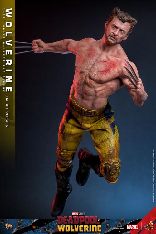 Deadpool & Wolverine MMS756 Wolverine (Jacket Ver.) 1/6th Scale Collectible Figure Gallery Image 5
