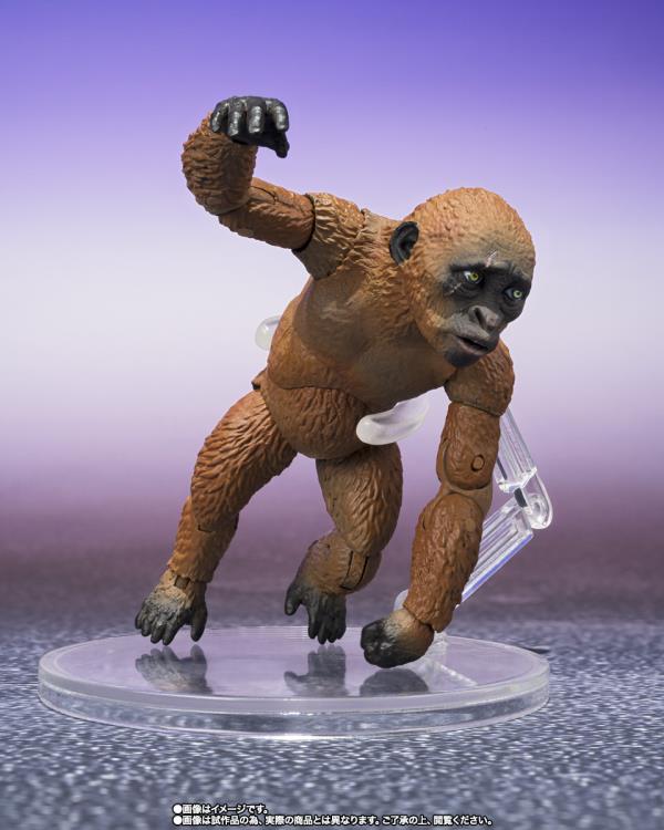 Godzilla x Kong: The New Empire S.H.MonsterArts Suko & Mothra Gallery Image 6