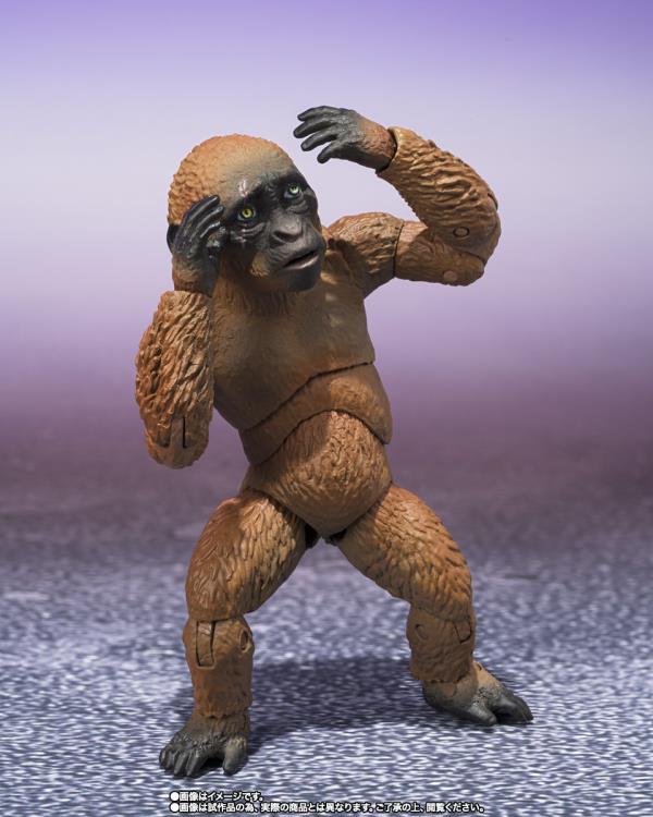 Godzilla x Kong: The New Empire S.H.MonsterArts Suko & Mothra Gallery Image 5