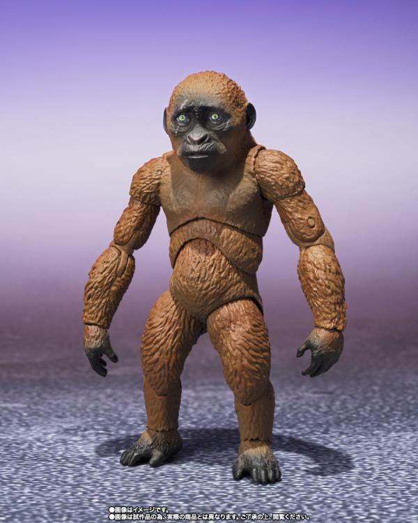 Godzilla x Kong: The New Empire S.H.MonsterArts Suko & Mothra Gallery Image 4