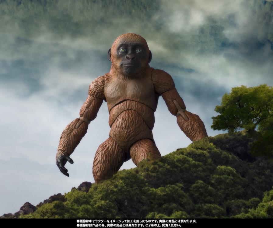 Godzilla x Kong: The New Empire S.H.MonsterArts Suko & Mothra Gallery Image 12