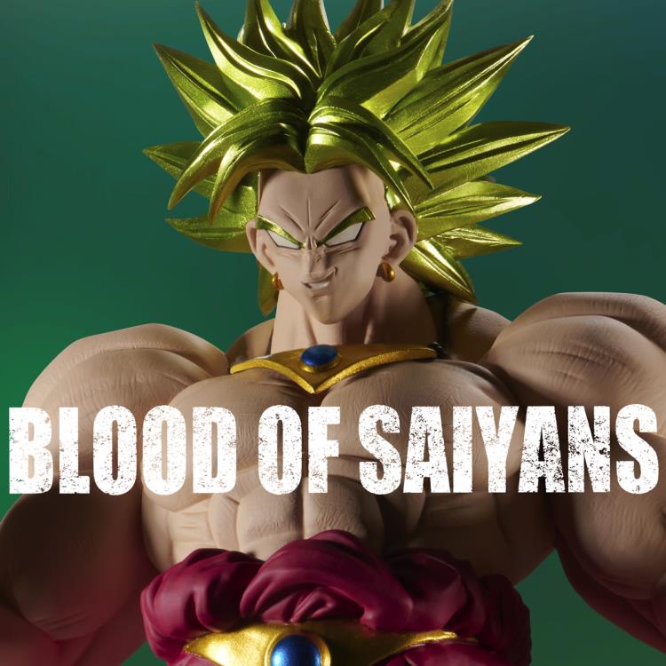 Dragon Ball Z Blood of Saiyans Super Saiyan Broly Gallery Image 8