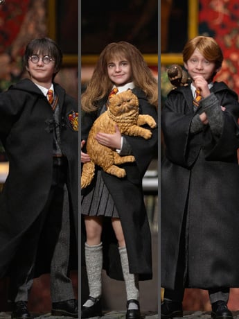 Harry Potter and the Sorcerer's Stone Harry Potter, Hermione