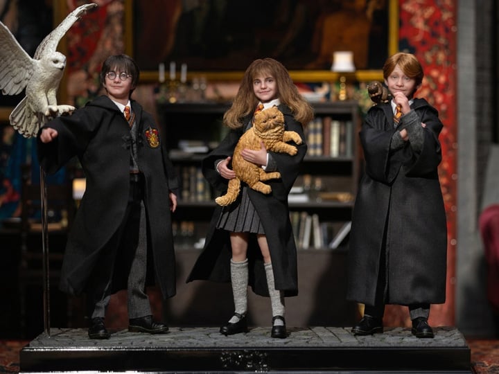 Harry Potter and the Sorcerer's Stone Harry Potter, Hermione