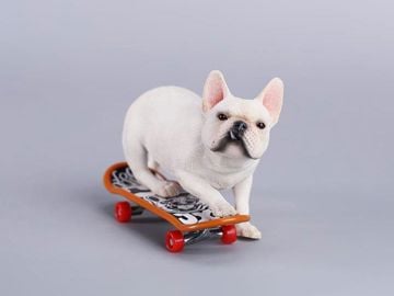 Skateboarding French Bulldog (Ver. A) 1/6 Scale Figure
