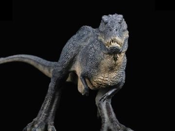 Ceratosaurus dentisulcatus Ceratosaurus dentisulcatus