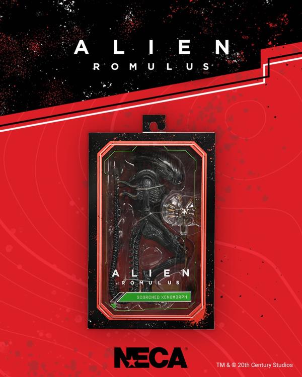 Alien: Romulus Ultimate Scorched Alien Xenomorph Gallery Image 9