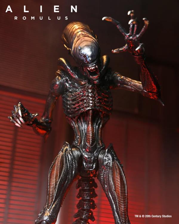 Alien: Romulus Ultimate Scorched Alien Xenomorph Gallery Image 7