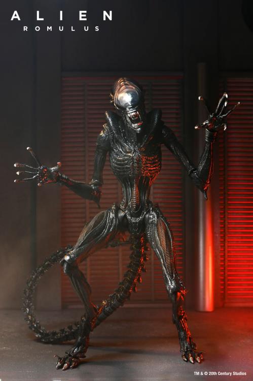 Alien: Romulus Ultimate Scorched Alien Xenomorph Gallery Image 5