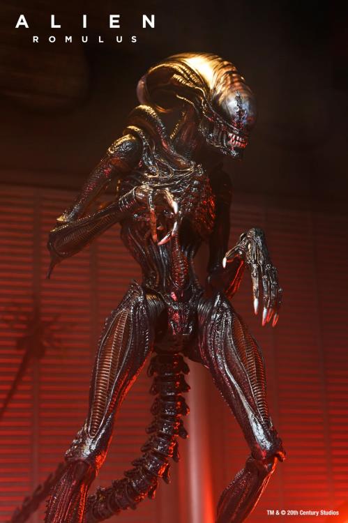 Alien: Romulus Ultimate Scorched Alien Xenomorph Gallery Image 6