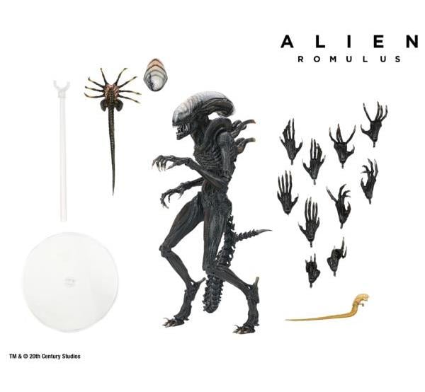 Alien: Romulus Ultimate Scorched Alien Xenomorph Gallery Image 10