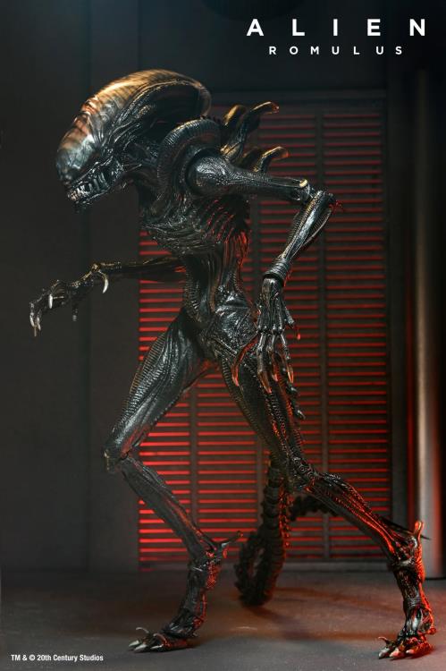 Alien: Romulus Ultimate Scorched Alien Xenomorph Gallery Image 3