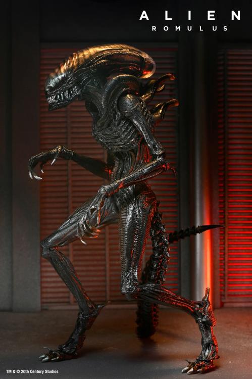 Alien: Romulus Ultimate Scorched Alien Xenomorph Gallery Image 4